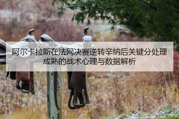 阿尔卡拉斯在法网决赛逆转辛纳后关键分处理成熟的战术心理与数据解析
